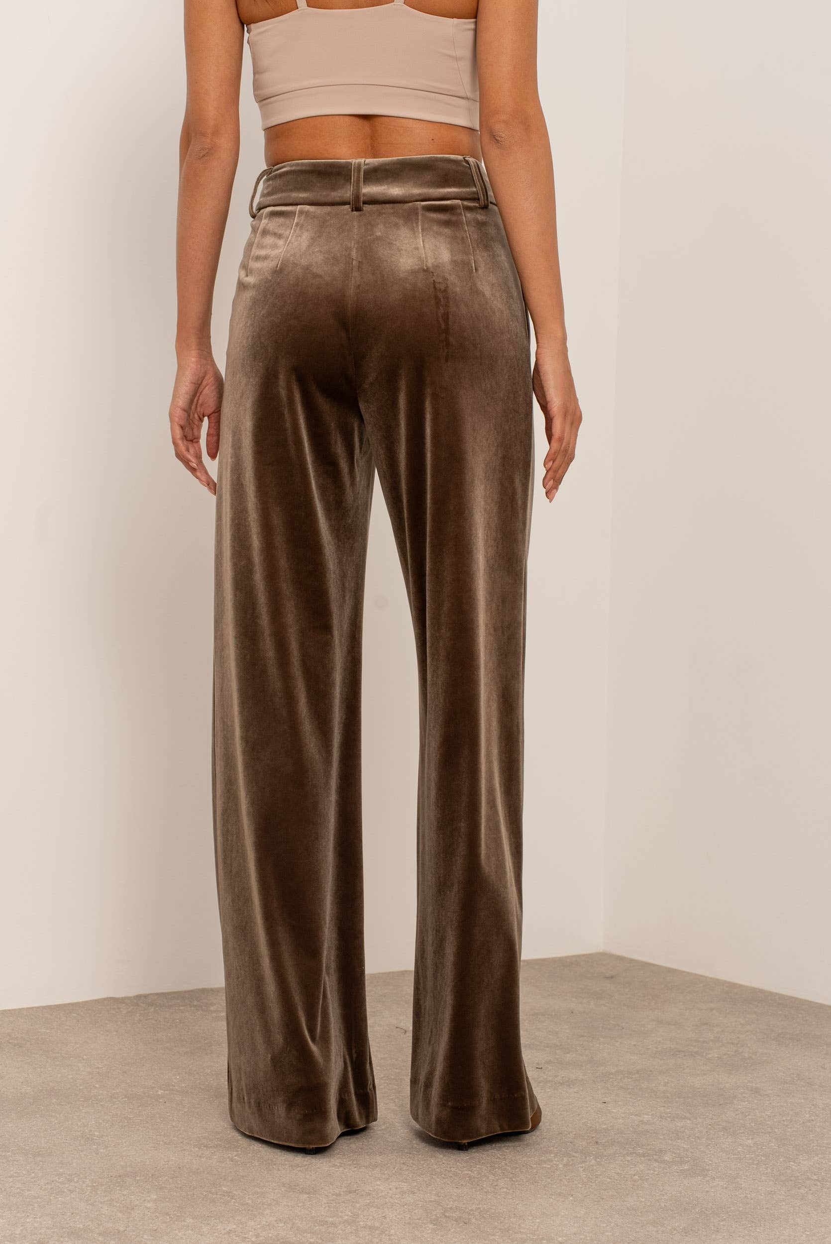Carmine Paris Velvet Wideleg Pants P-2501