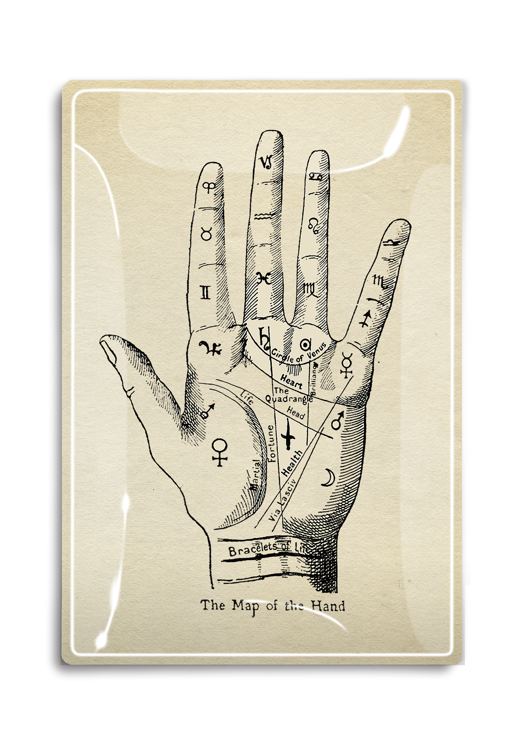 Ben's Garden The Map of the Hand Vintage Print Decoupage Tray