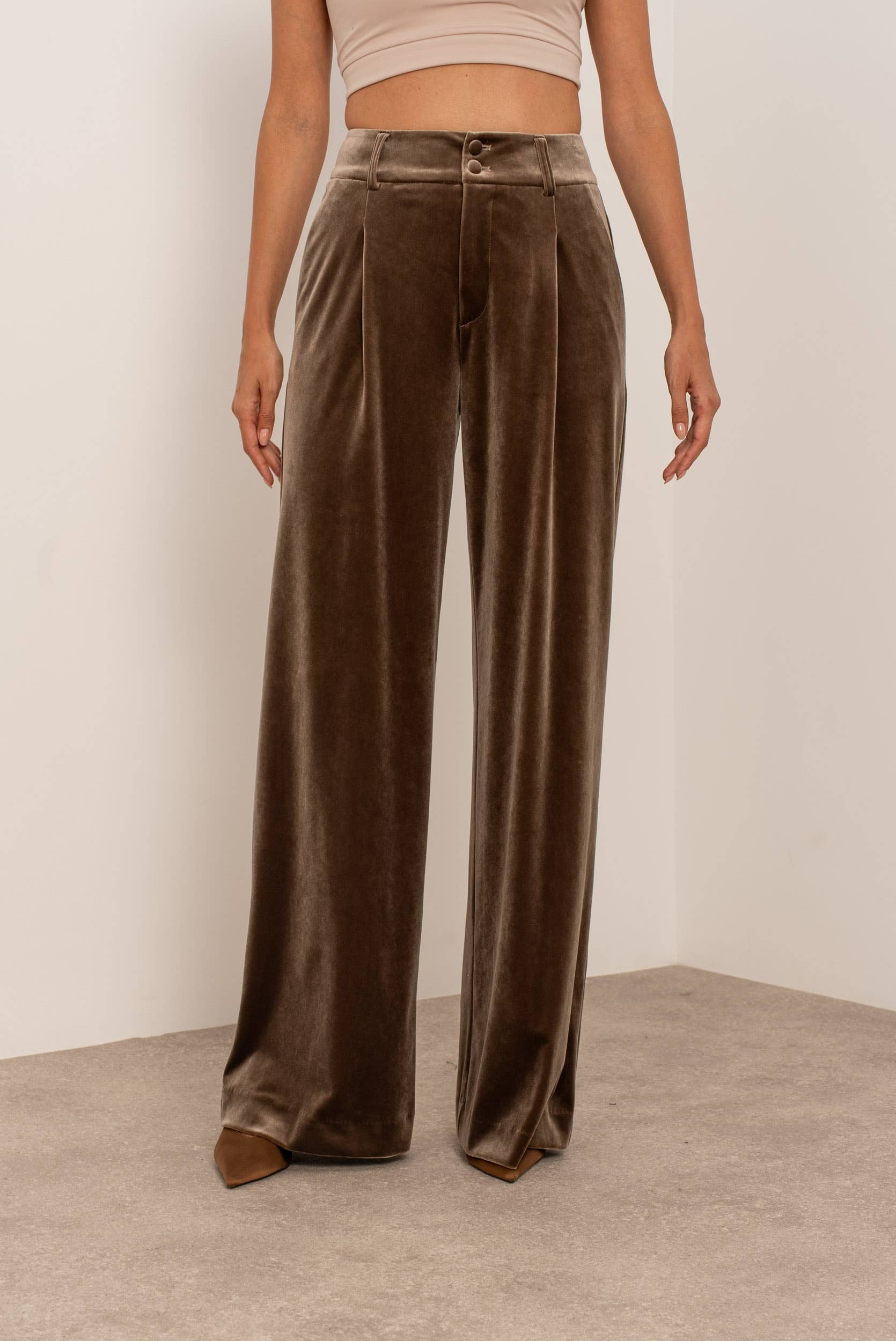 Carmine Paris Velvet Wideleg Pants P-2501