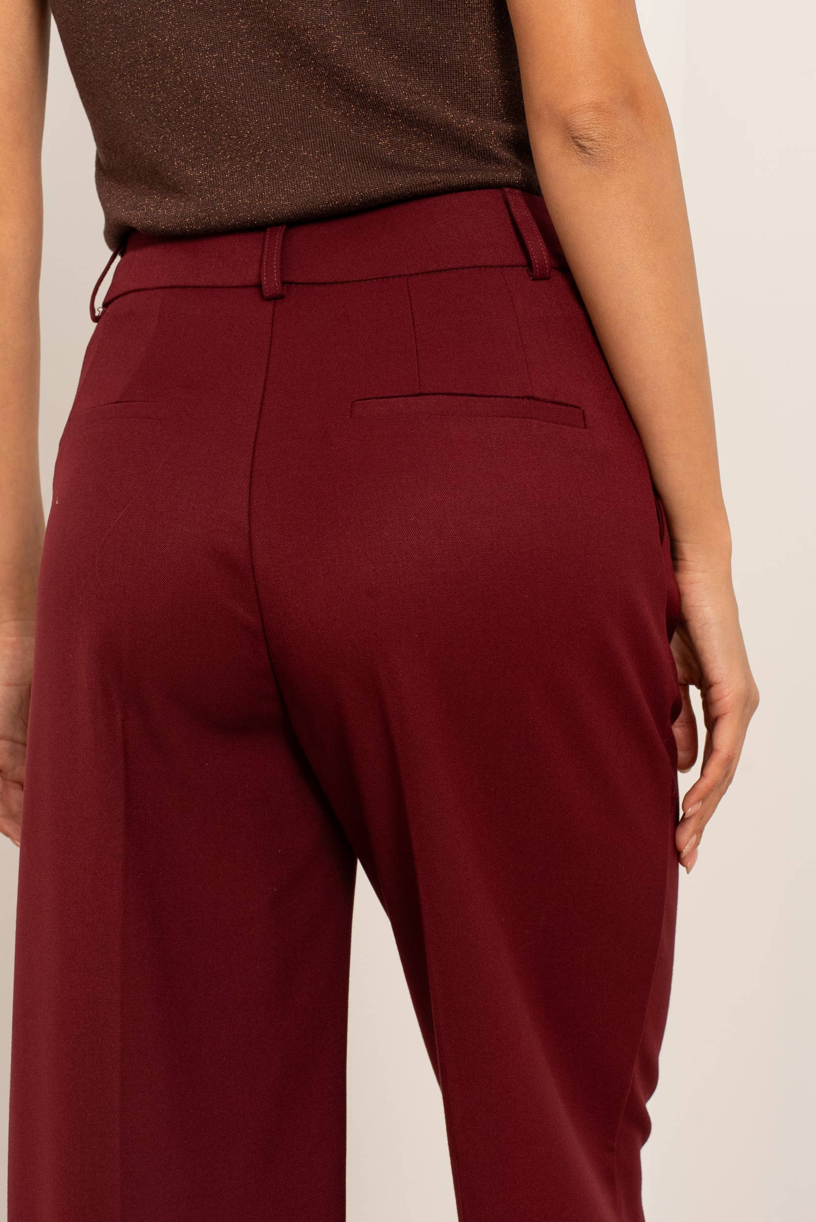 Carmine Paris Wide Leg Tailored Trouser P2523