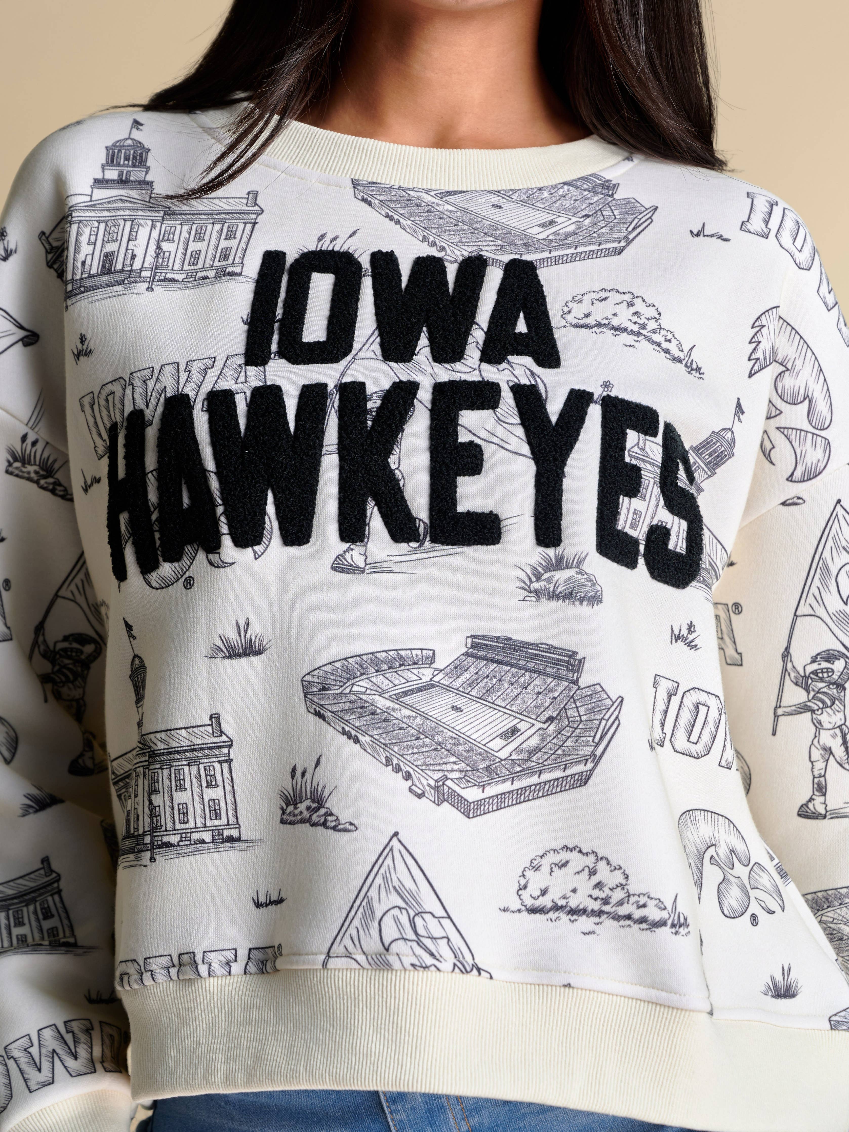 Stewart Simmons Iowa Hawkeyes Toile Pullover