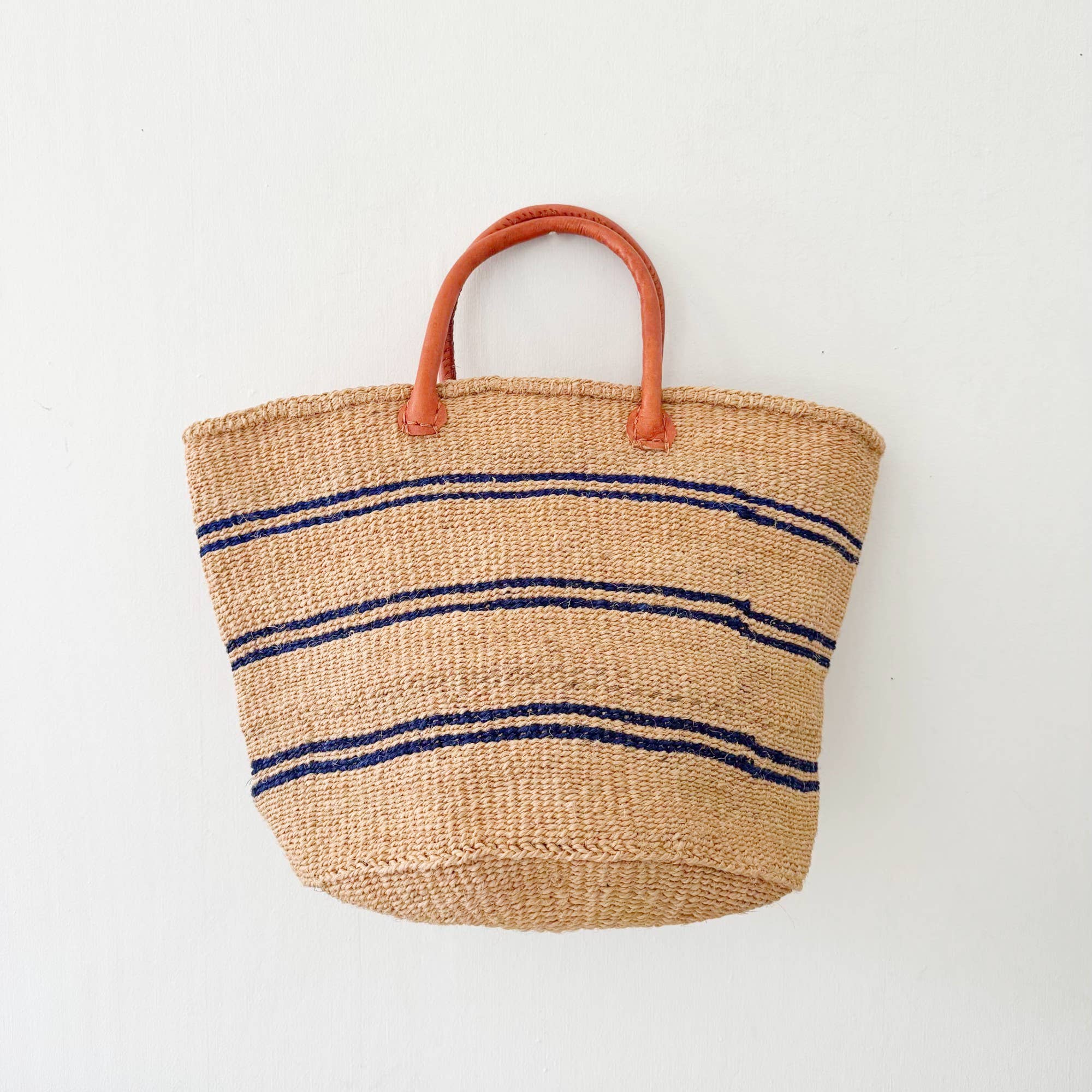 Amsha Kazi Tote Lakeshore