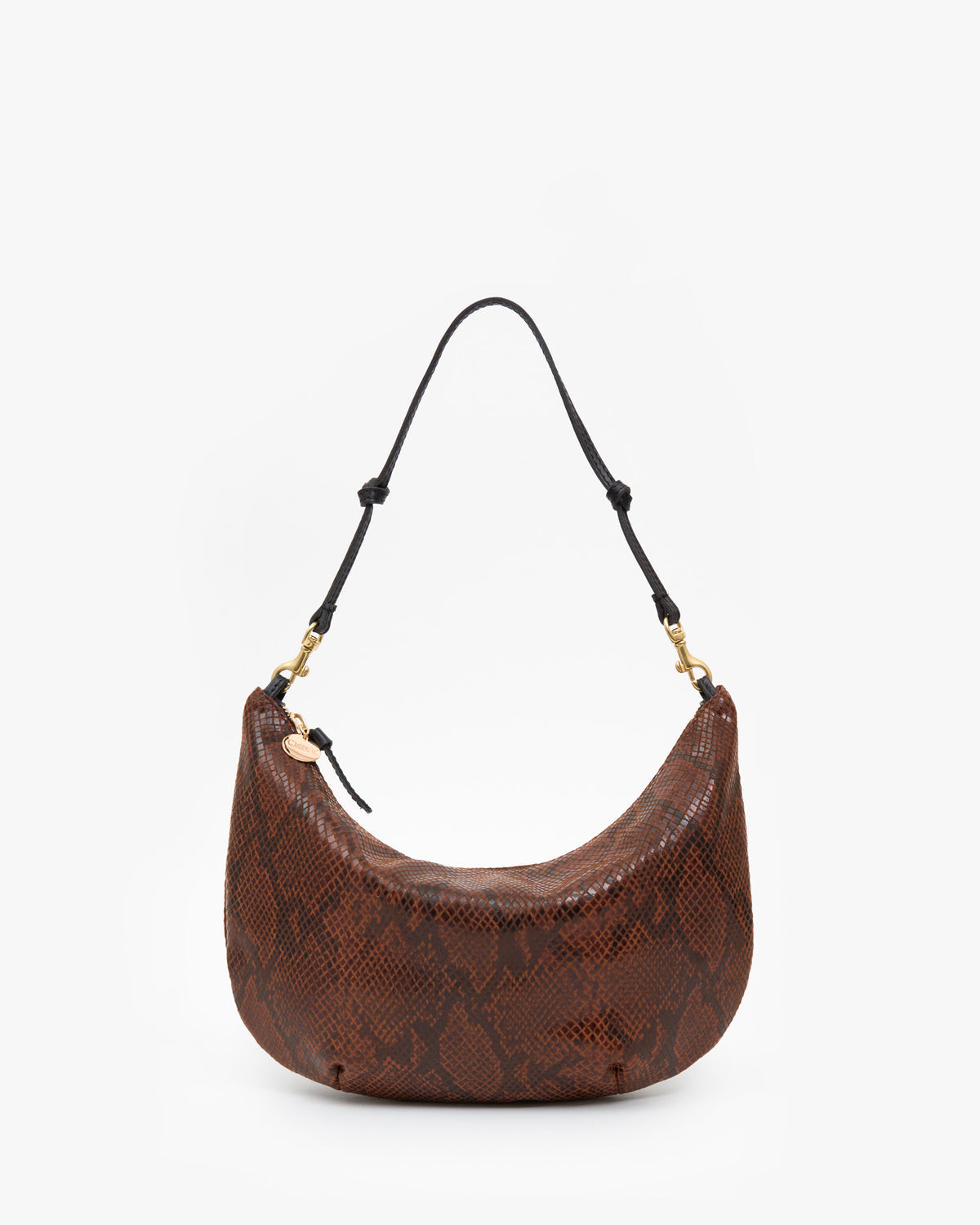 Clare V. Lune - Pierre Python in Auburn