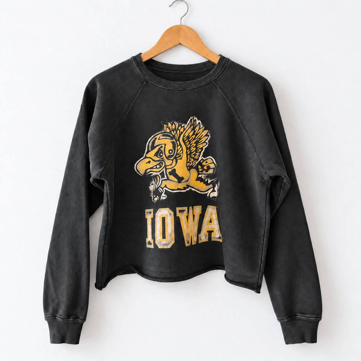 Retro Brand Long Sleeve Sliced Sweatshirt "Airbrush Herky"