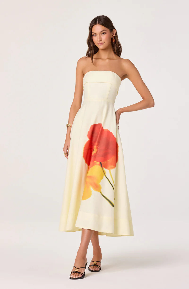 Astr Ximena Dress 103403