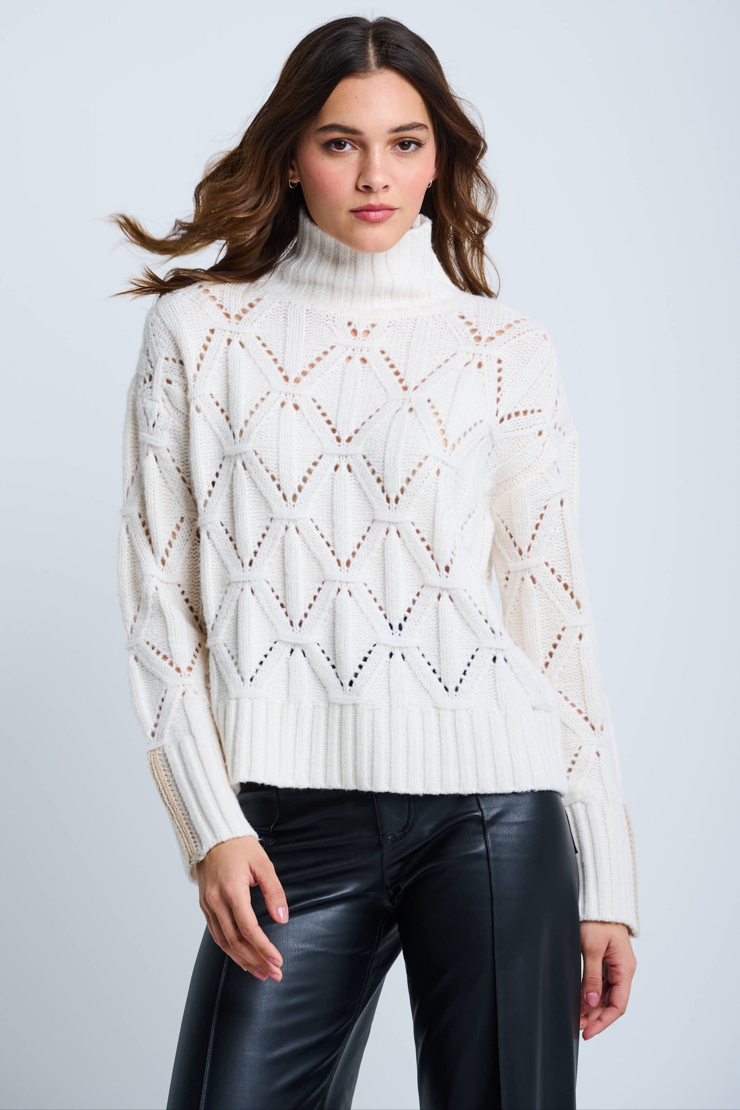 Lisa Todd The Stand Out Sweater F25-N112