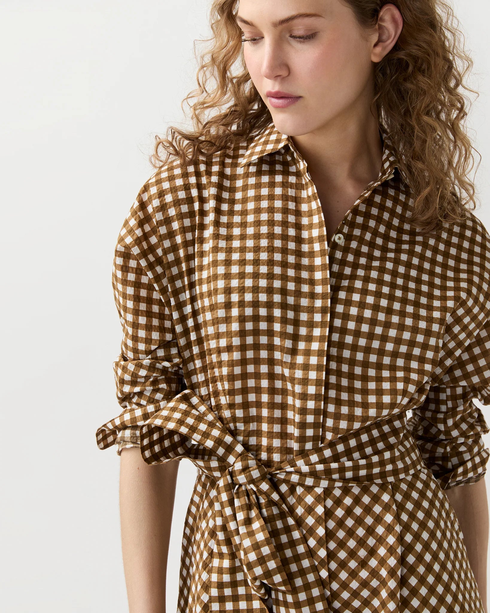 Ann Mashburn Charlie Shirtwaist Dress