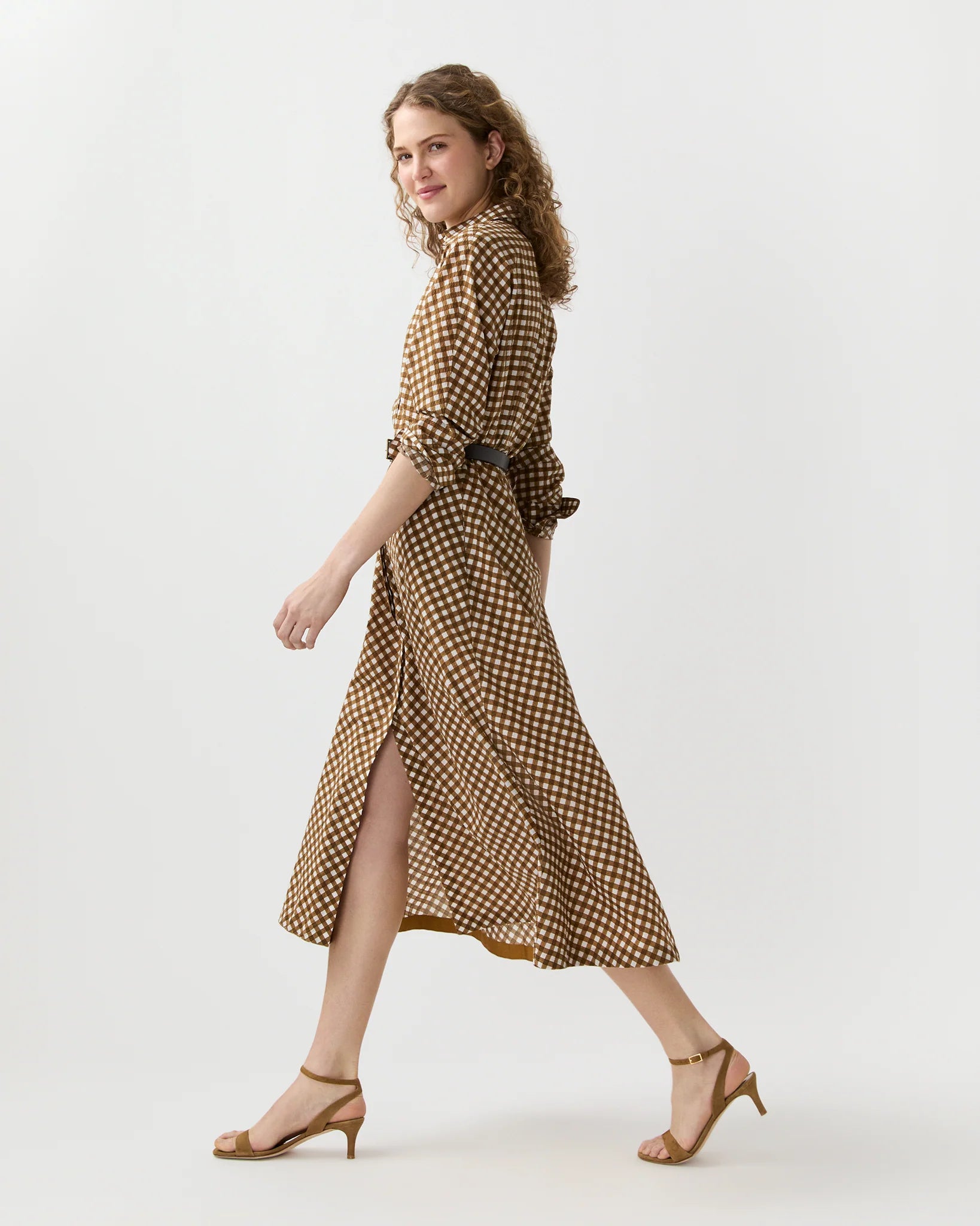 Ann Mashburn Charlie Shirtwaist Dress