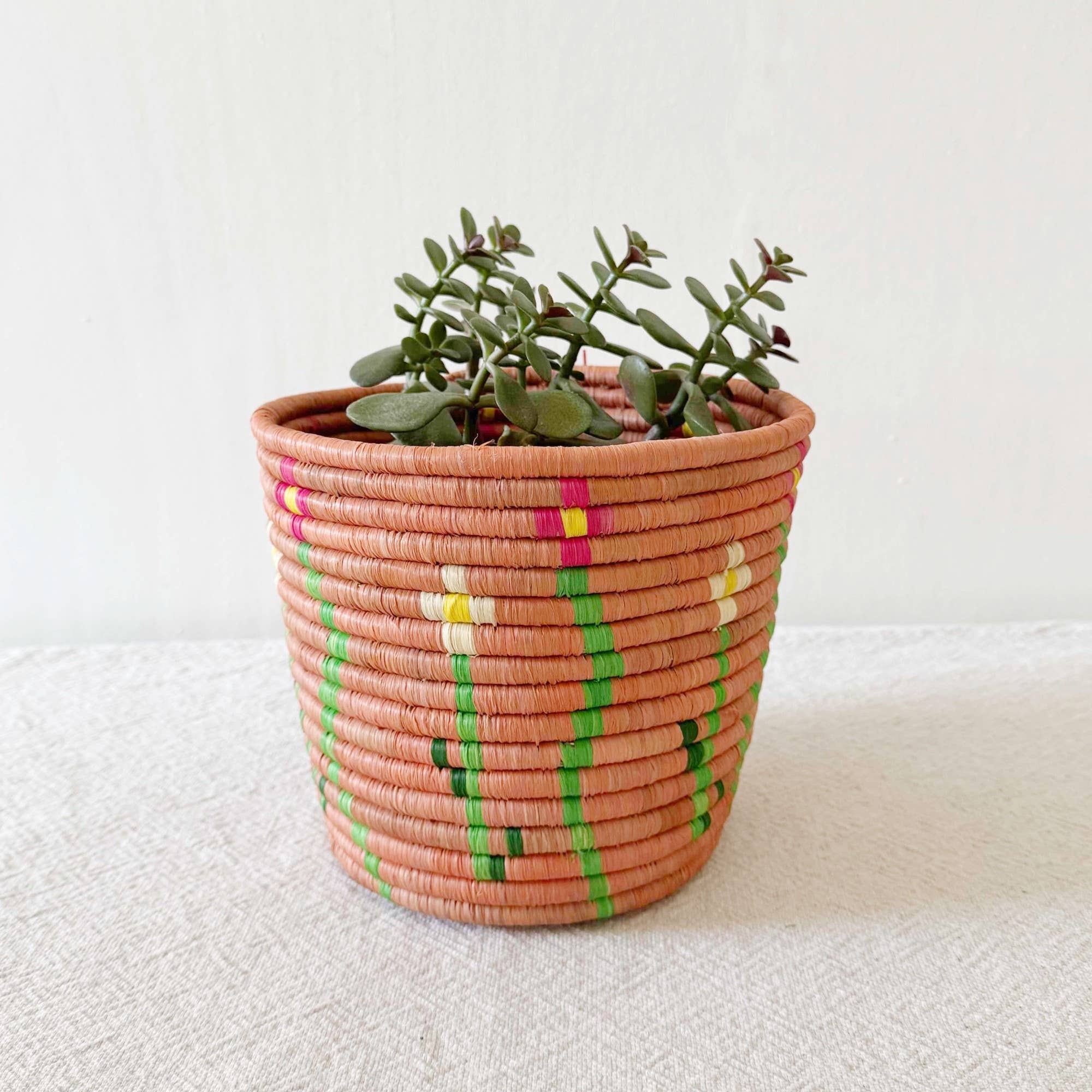 Amsha Floral Storage Plant Basket Nsindo