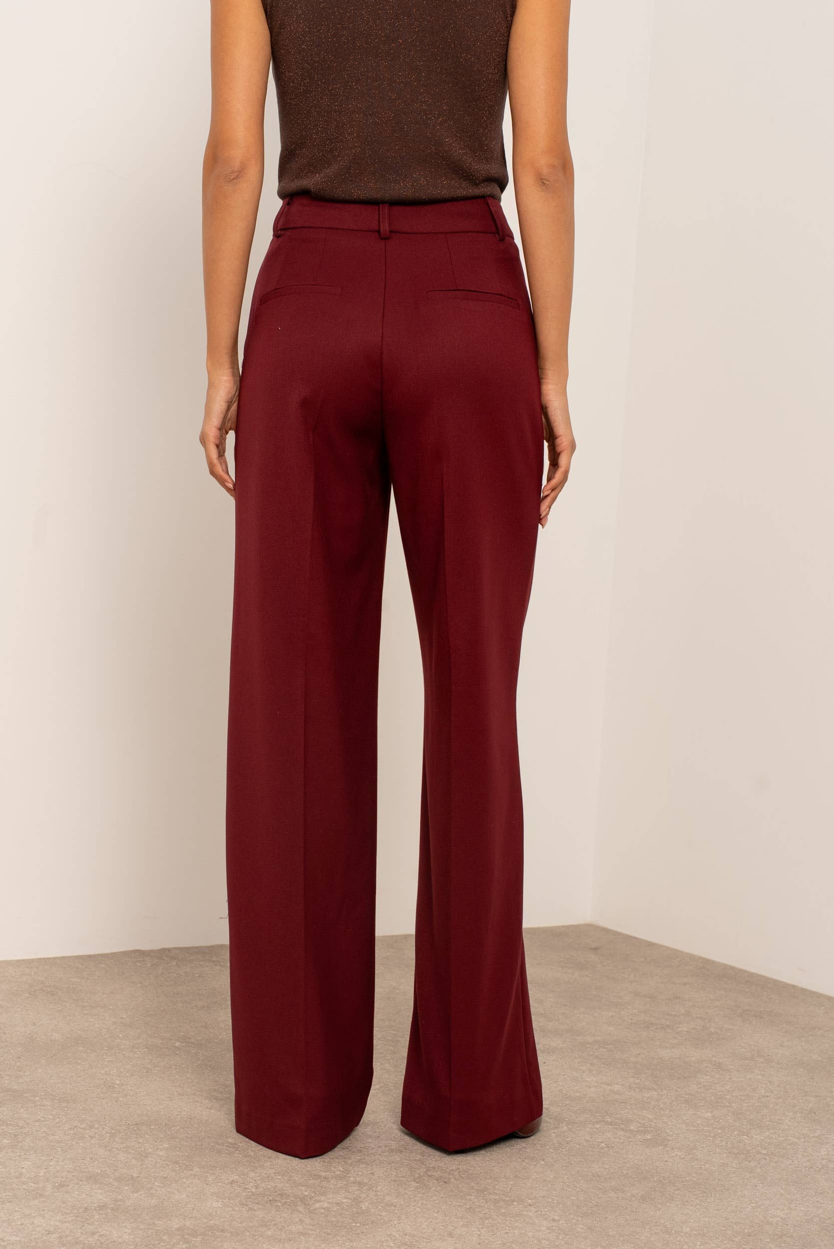 Carmine Paris Wide Leg Tailored Trouser P2523