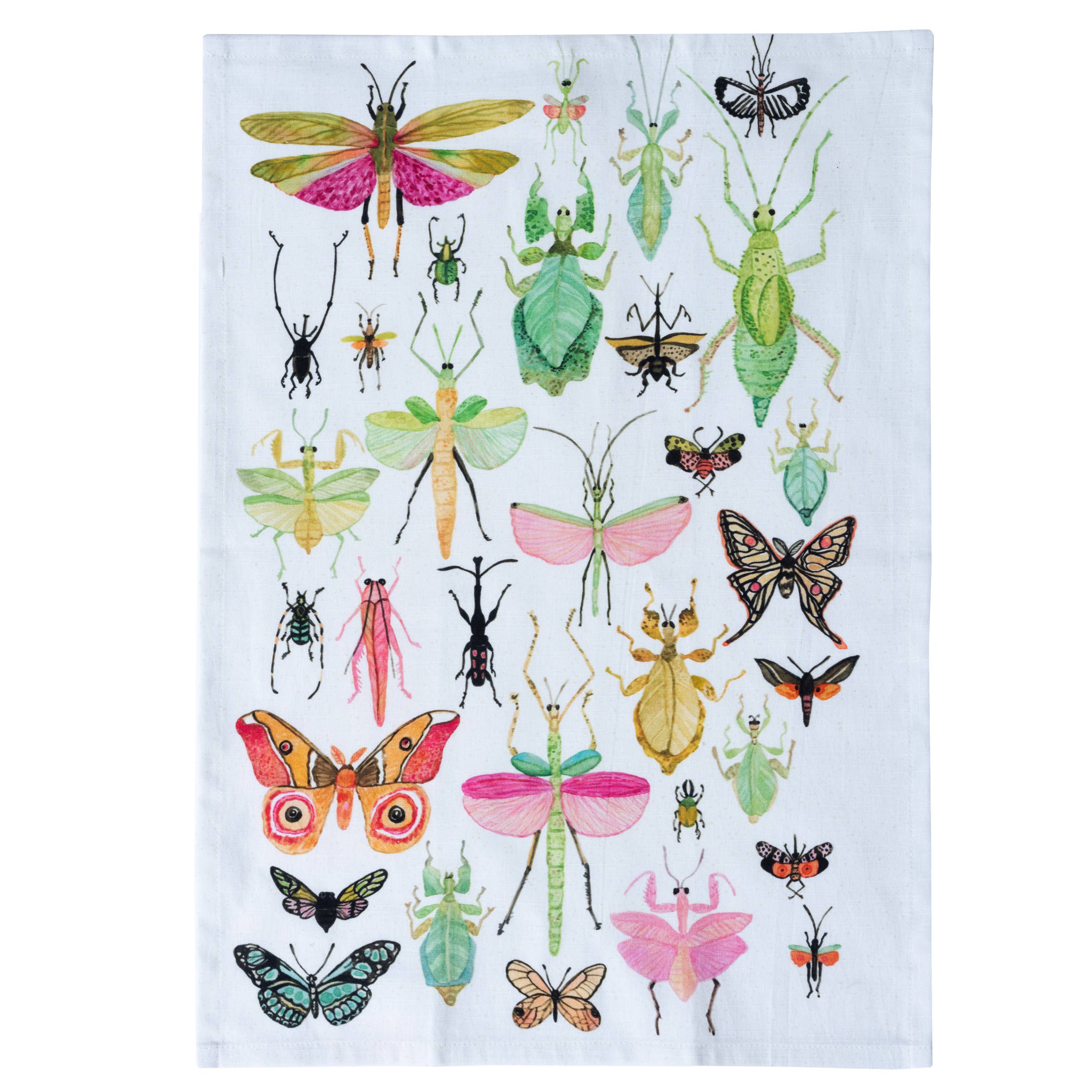 Betsy Olmsted Tea Towel- Insectarium