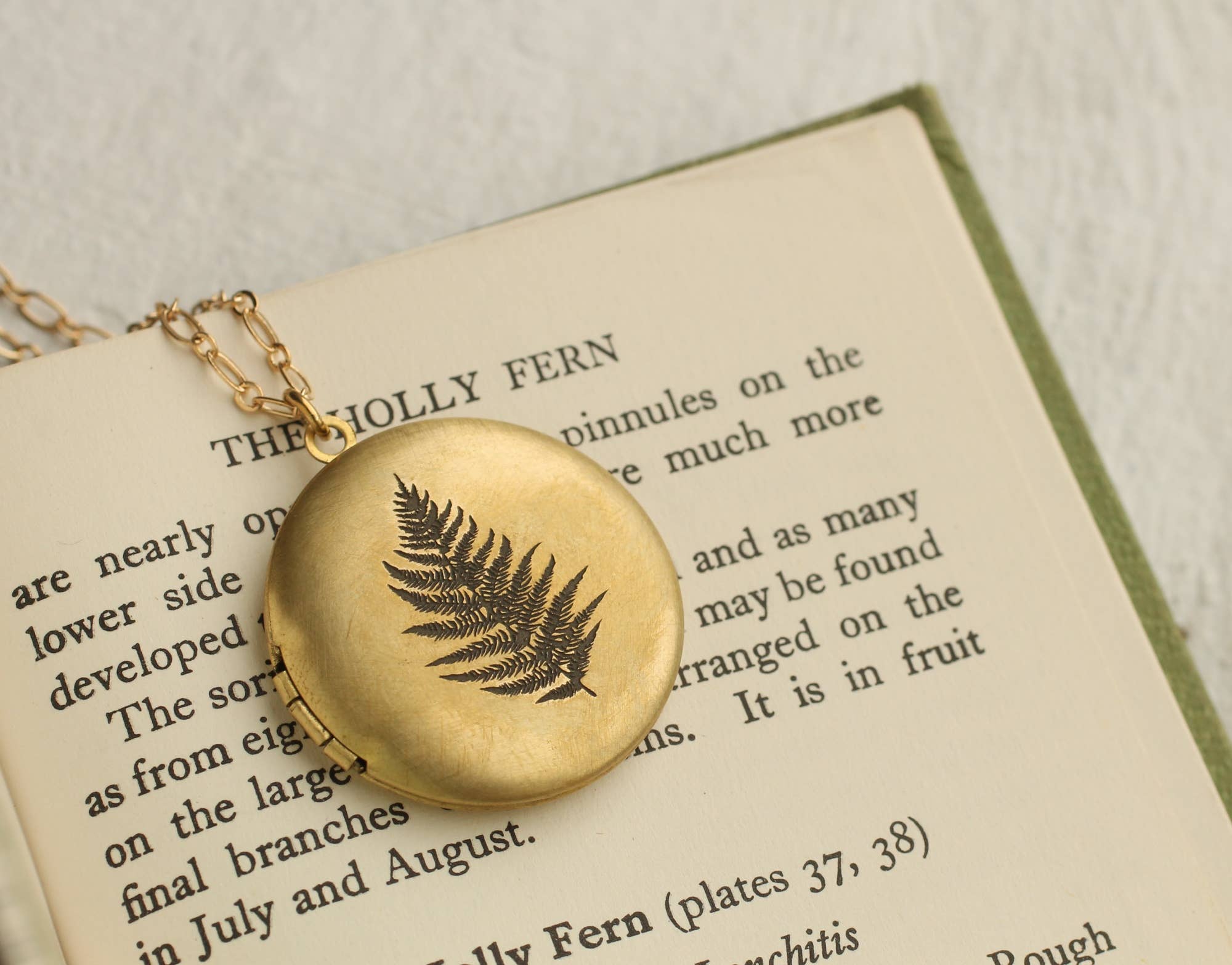 Silk Purse, Sow’s Ear Engraved Fern Locket