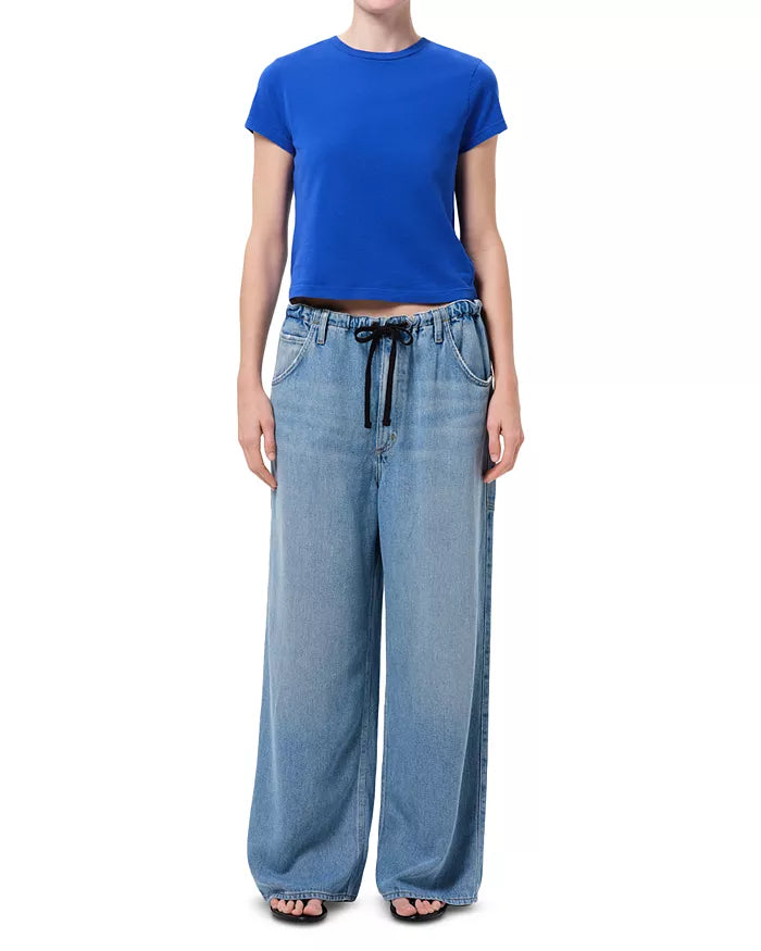 AGolde Shaw Drawstring Wide Leg Jean A332-1972