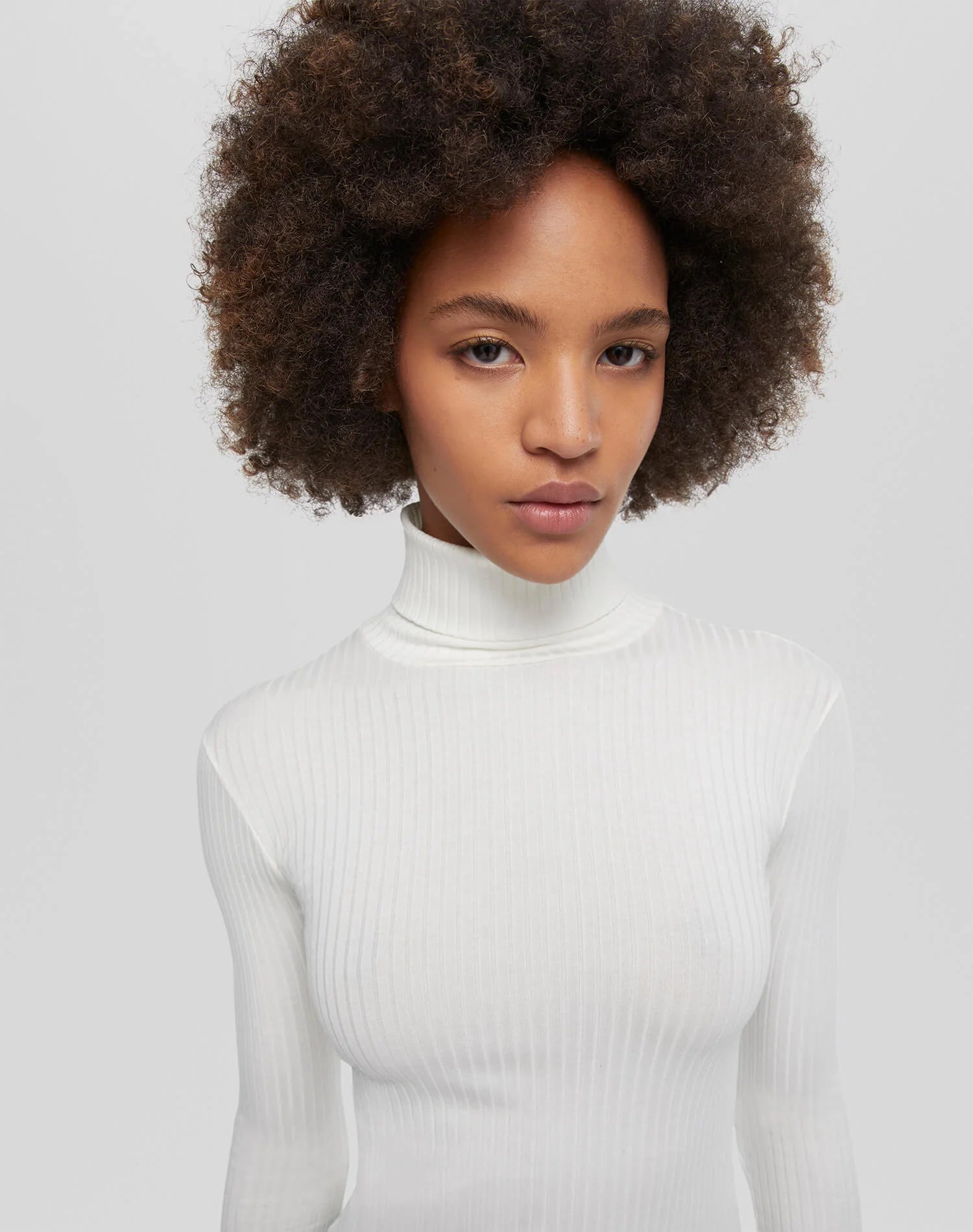 RE/DONE Hanes Ribbed Turtleneck