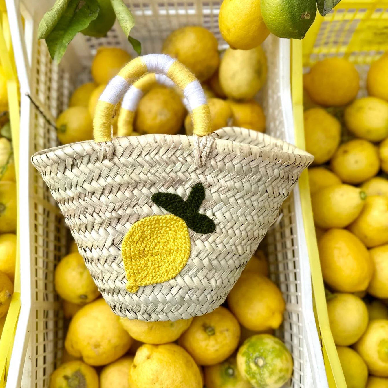 French Market Bags Small Handheld Bag With Fruit Embroidery