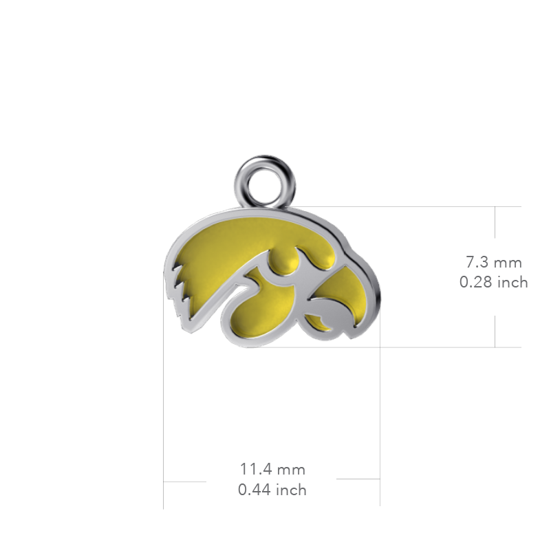 Catherine's Game Day University of Iowa Dangle Earrings - Enamel