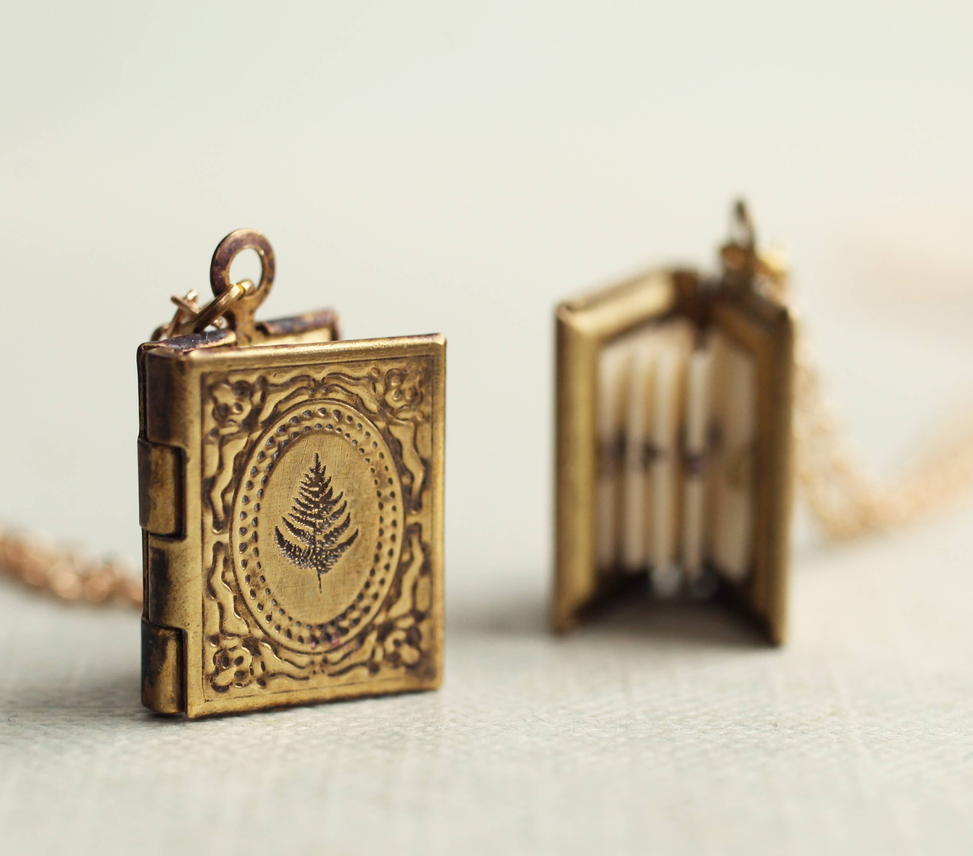 Silk Purse, Sow’s Ear Fern Gold Book Locket