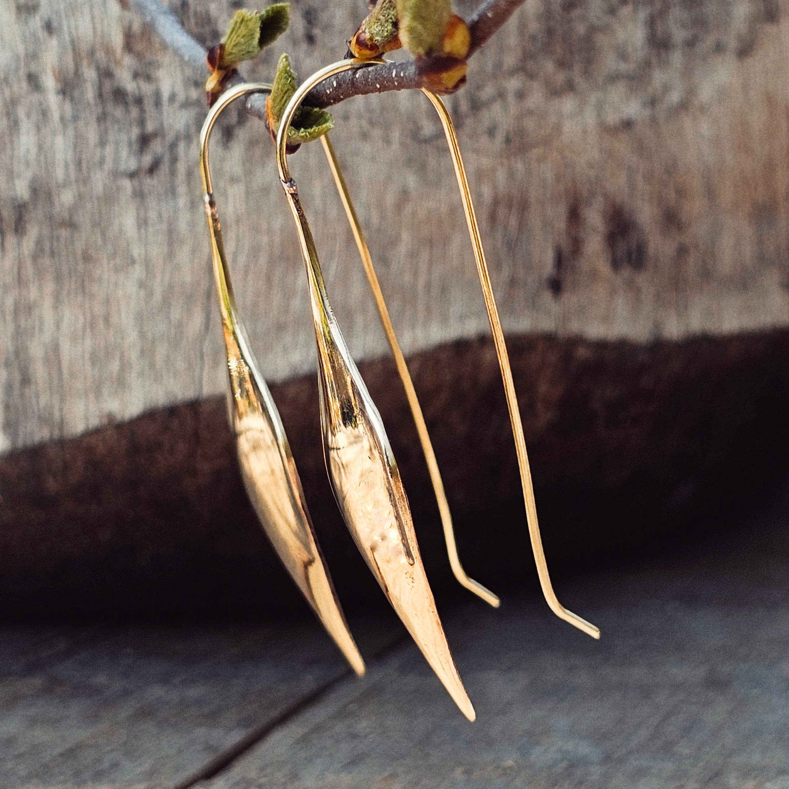 Bisjoux Brass Modern Leaf Earrings