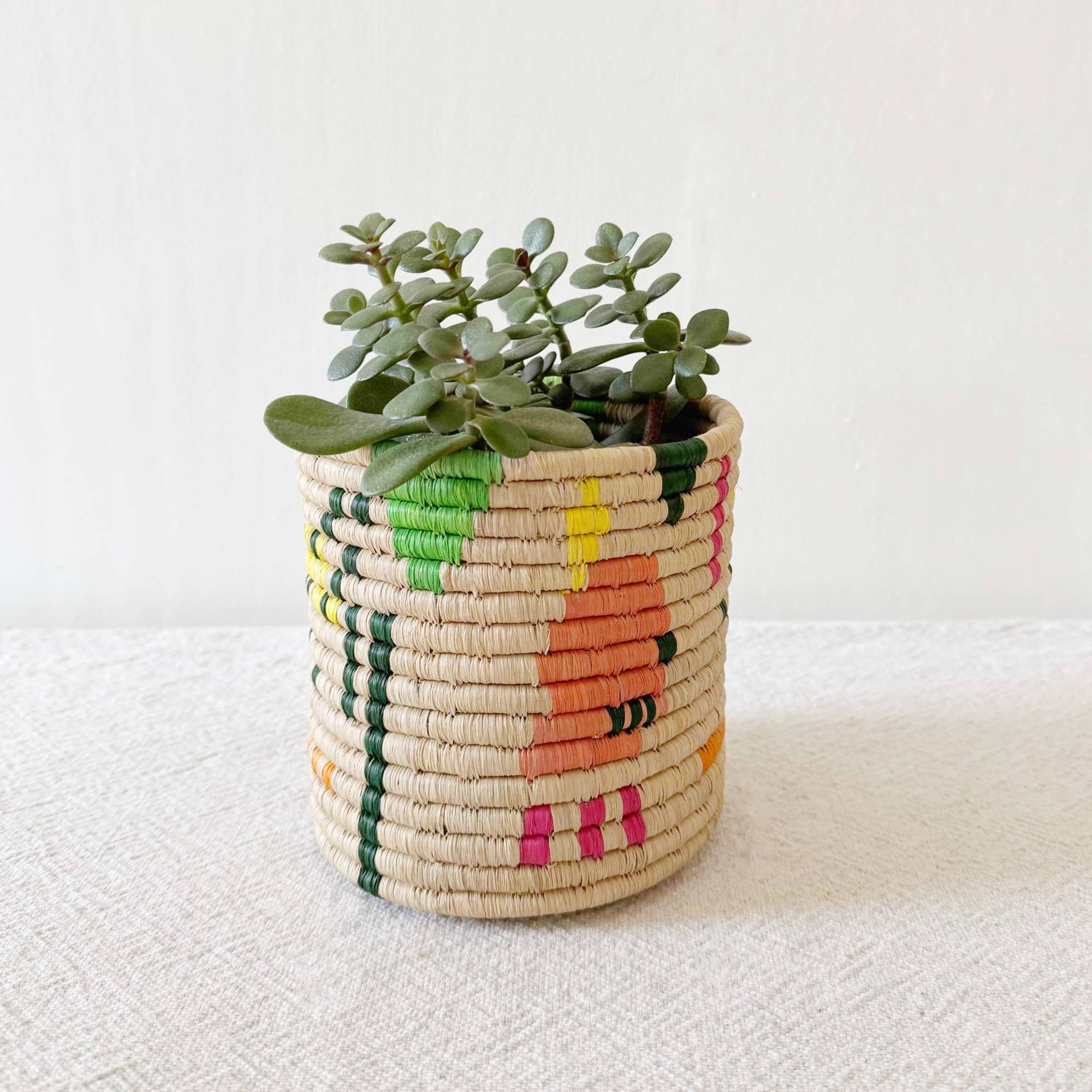 Amsha Storage Plant Baskets Kisi
