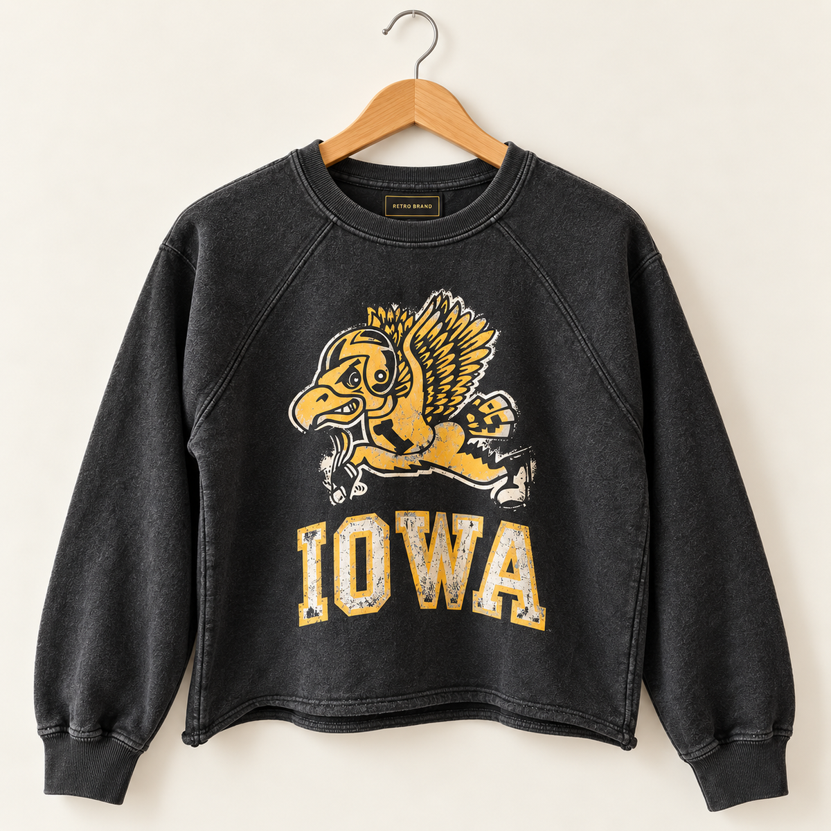 Retro Brand Long Sleeve Sliced Sweatshirt "Airbrush Herky"
