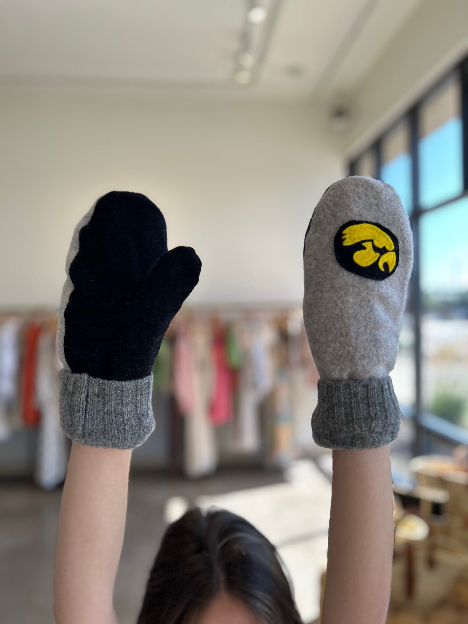 Iowa Upcycled/Felted Cashmere/Wool Mittens