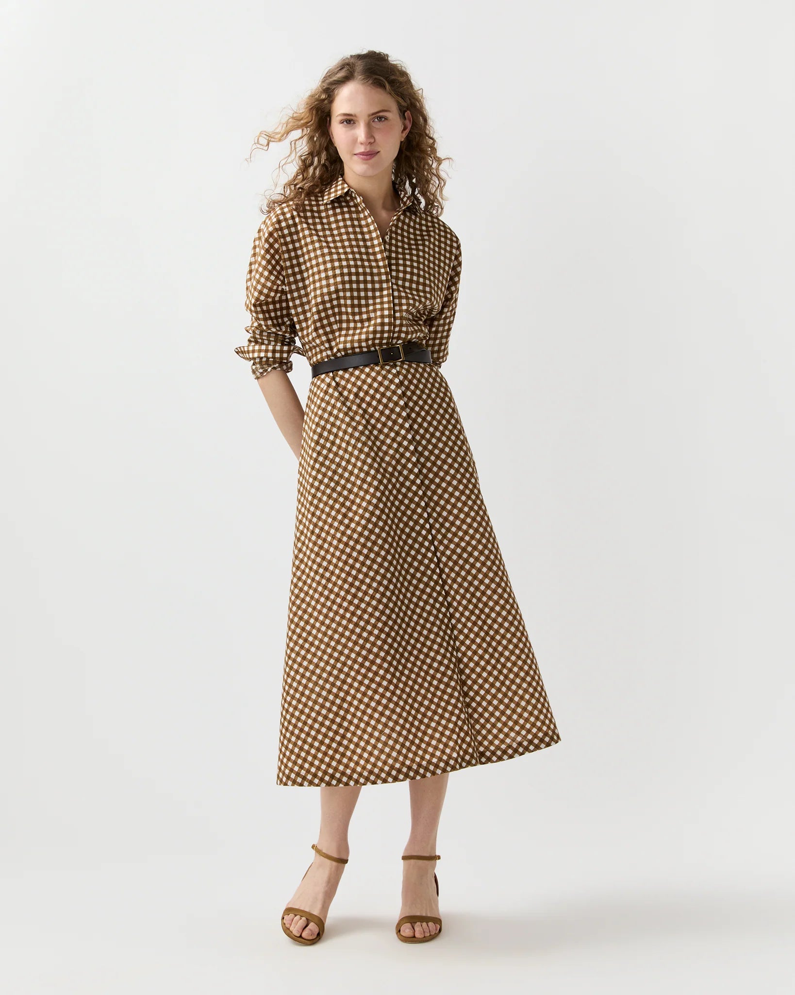 Ann Mashburn Charlie Shirtwaist Dress