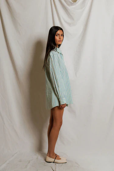 Perfect White Tee Avalon Poplin Button Down Tee