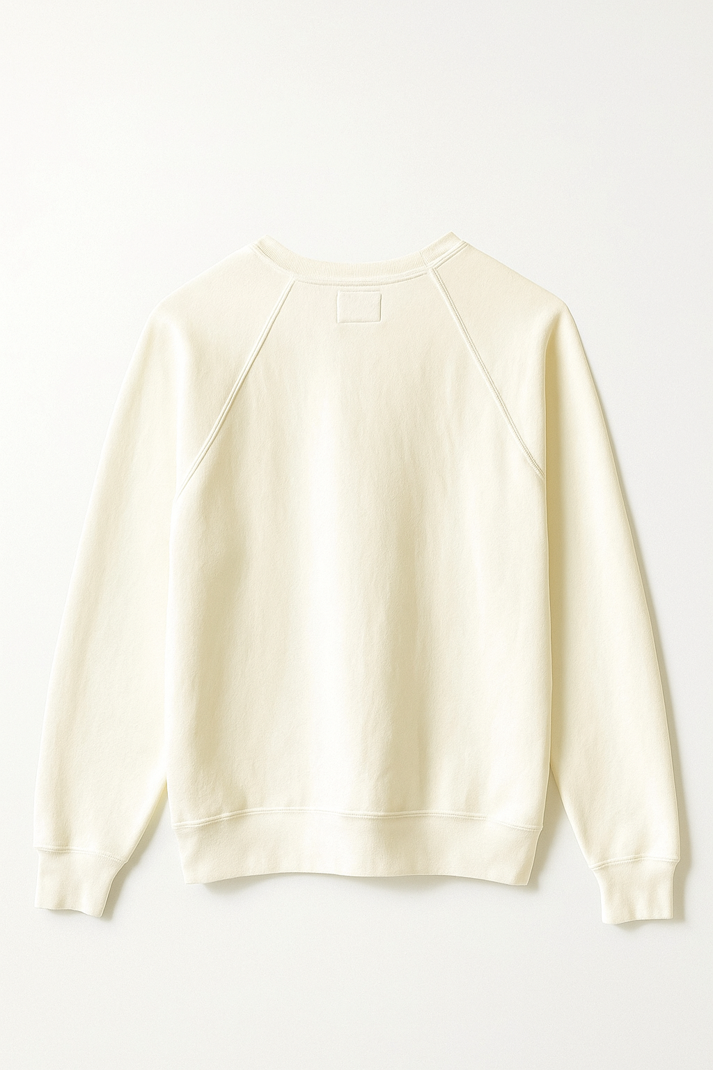 Retro Brand STAY WEIRD IOWA CITY Full Length Sweatshirt