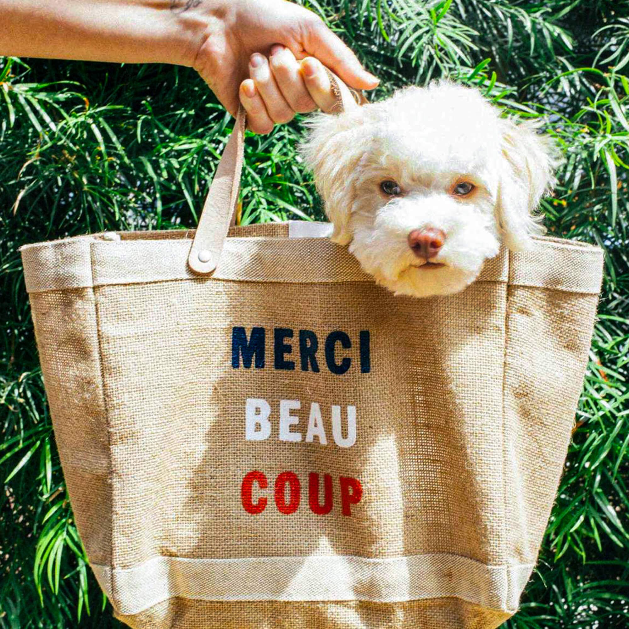 Apolis Petite Market Bag in Natural for Clare V. “Merci Beau Coup”