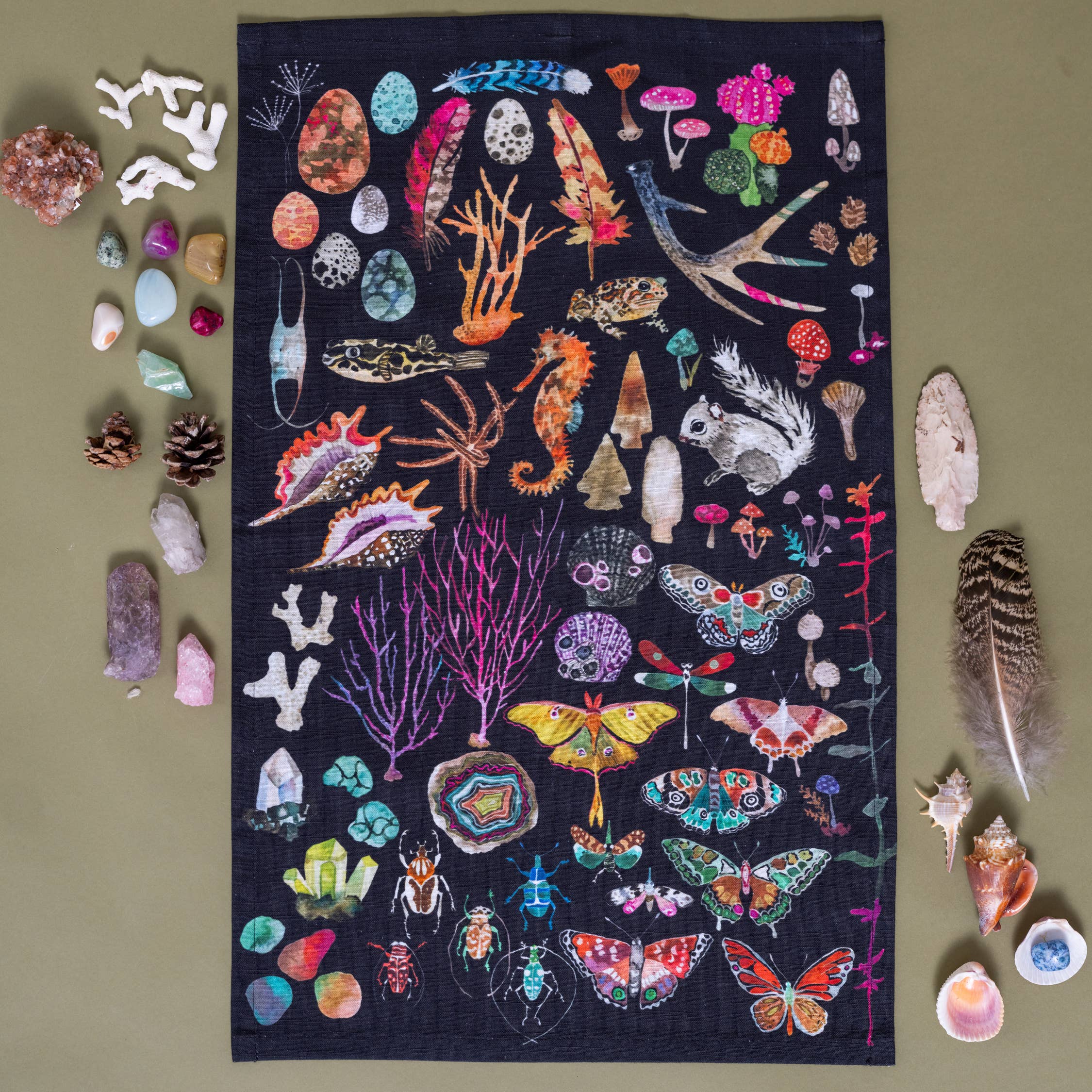 Betsy Olmsted Tea Towel- Specimens