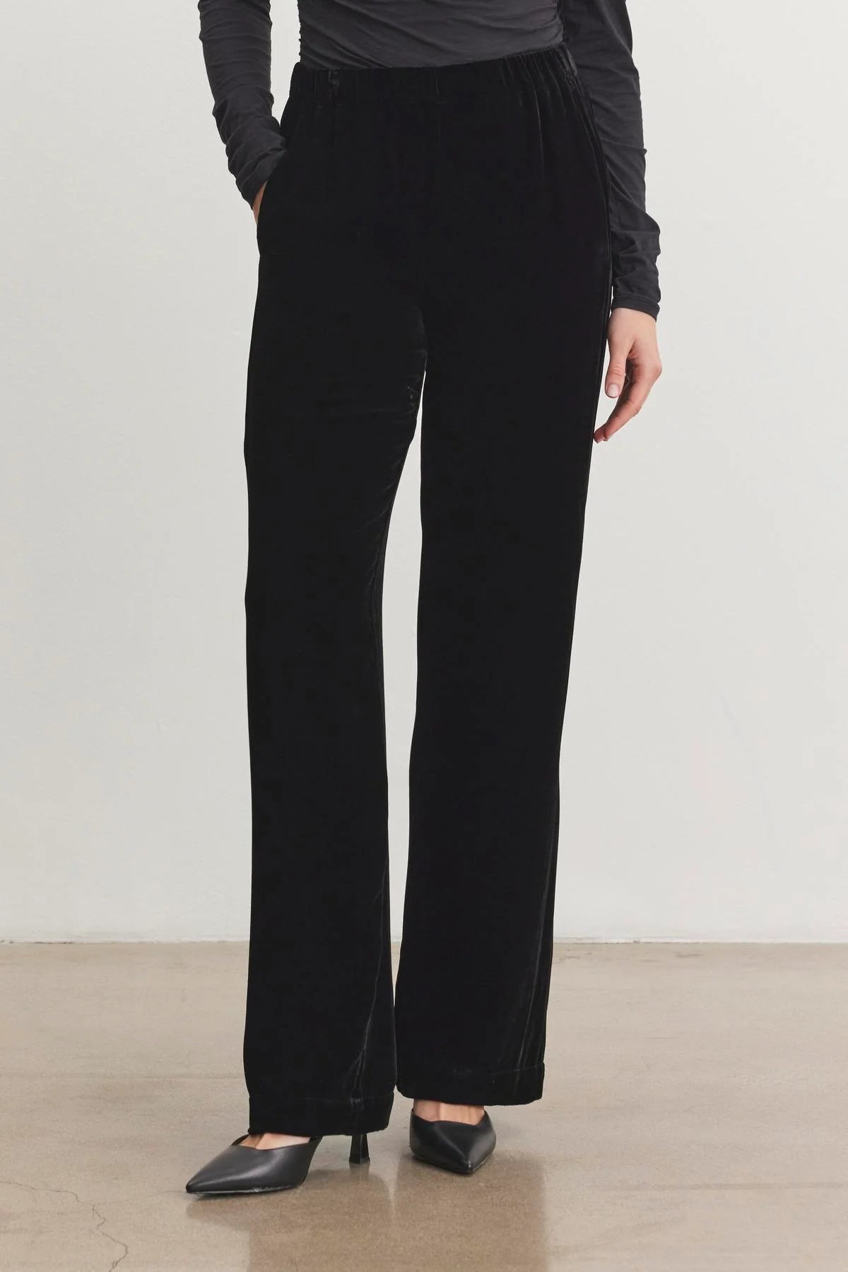 Velvet Sorine Silk Velvet Pant